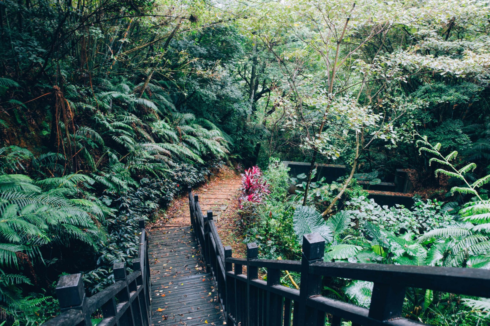 林口老公崎步道