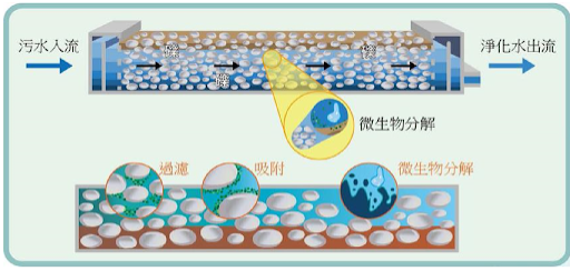 ▲圖說：礫間淨化示意圖（來源：2020臺北國際水環境高峰論壇網站）