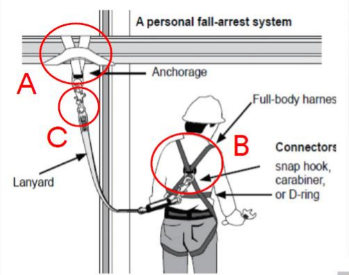 🔺圖說： 安全帶使用:防墜四要素ABCD（來源： 營造業中區職業安全衛生促進會-個人安全防墜課程）