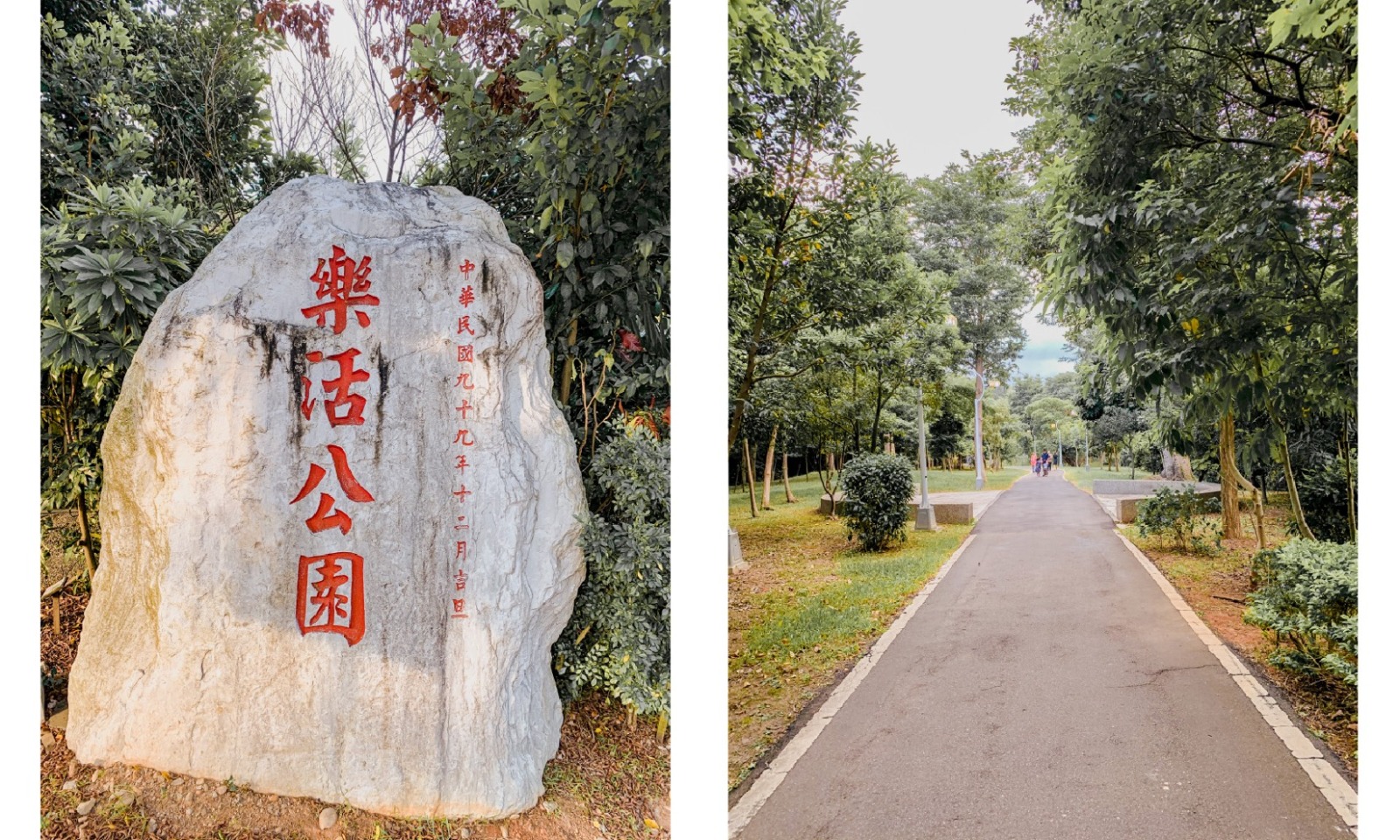 🔺樂活公園是個長方型的公園，長長的步道毗連集合式住宅，有種這是我家後院的感覺😄