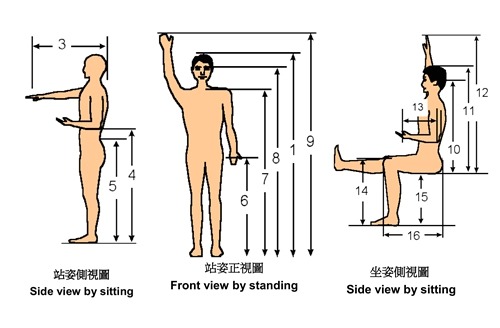 (計測尺寸圖示)