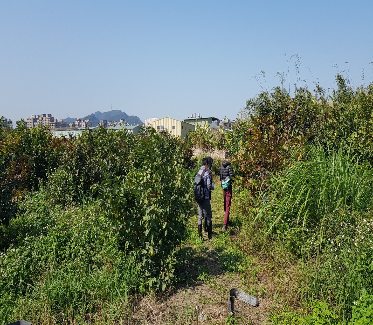 ▲圖說:查估現況照片