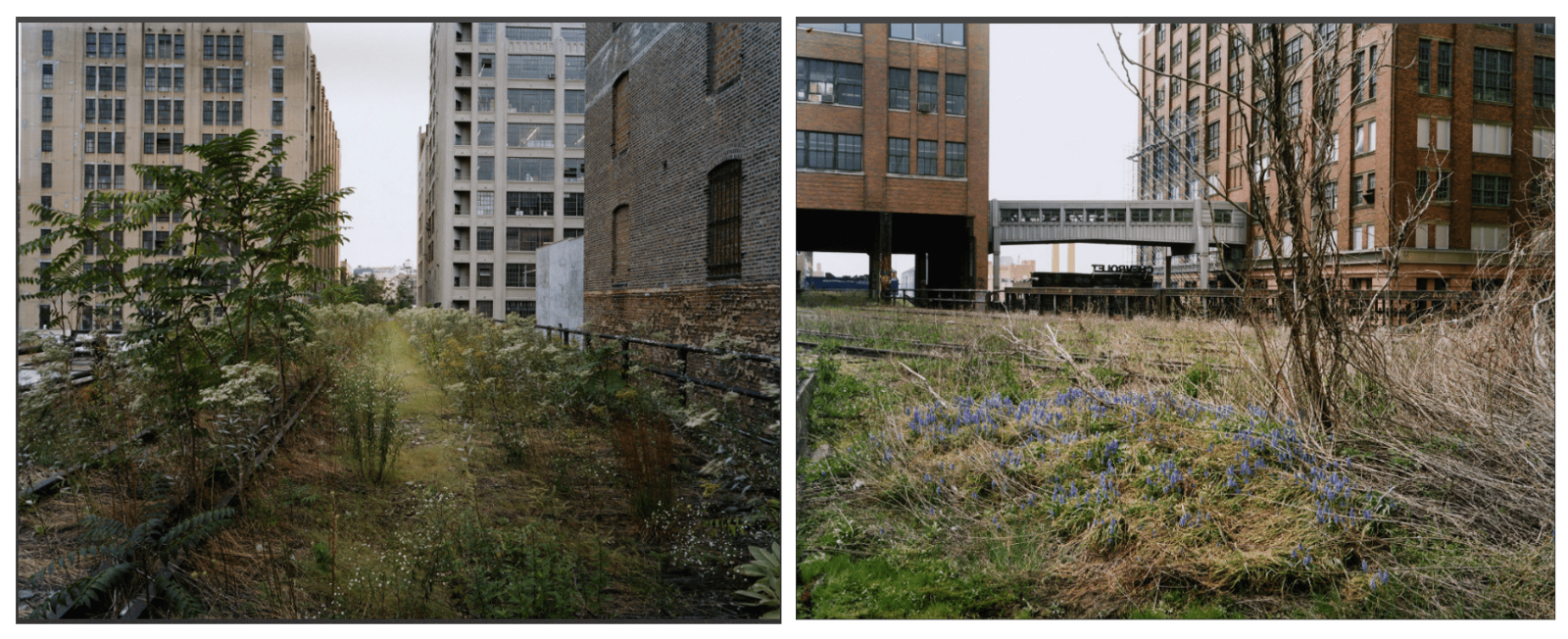 ▲HIGH line park 舊照片（來源：HIGH LINE）